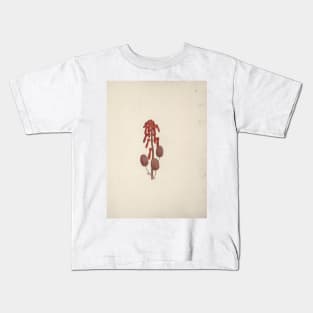 Aloe macrocarpa Todaro (Aloe) by Luigi Balugani Kids T-Shirt